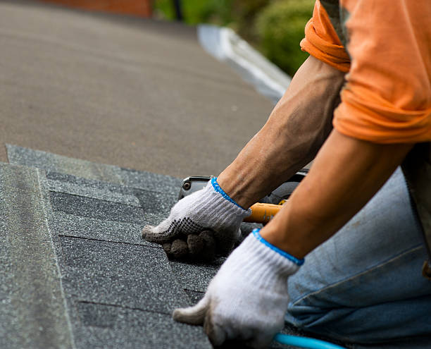 Roof Gutter Cleaning in Sisco Heights, WA