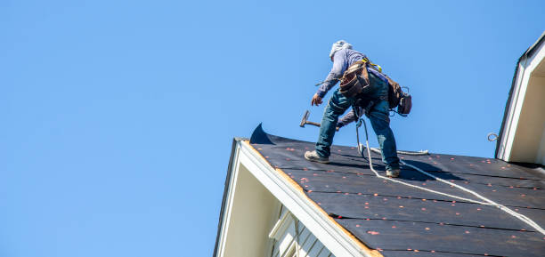 Best Metal Roofing Contractor  in Sisco Heights, WA